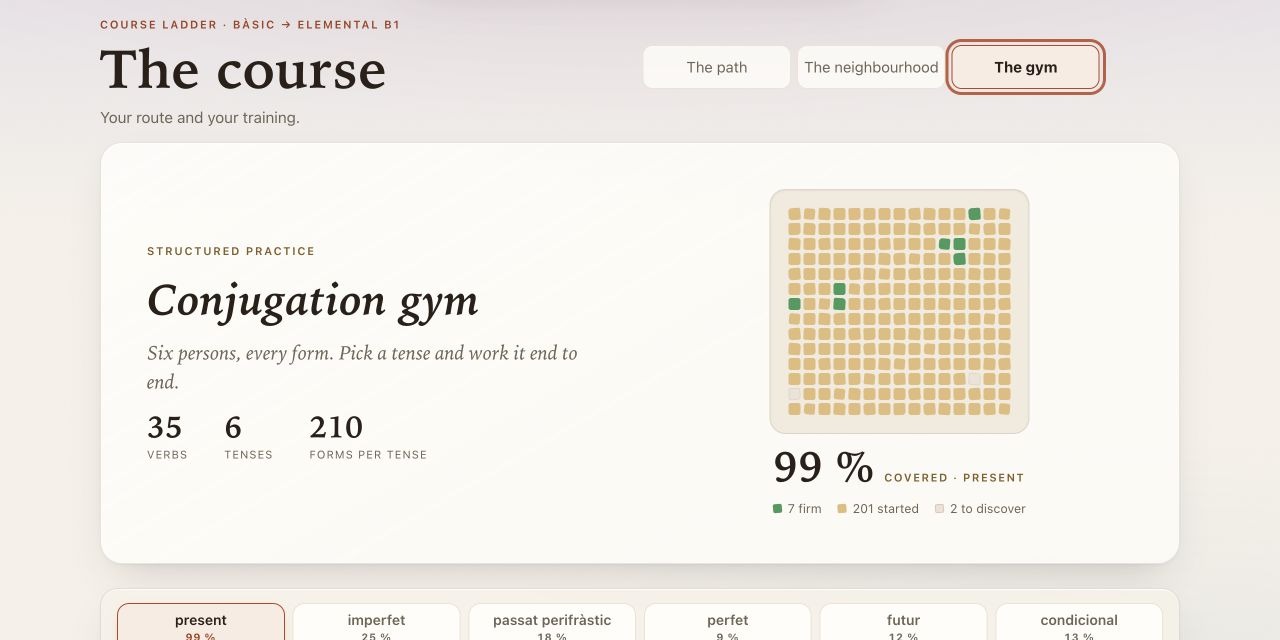 Ryan's populated Conjugation Gym, showing 99 percent coverage of the present tense.
